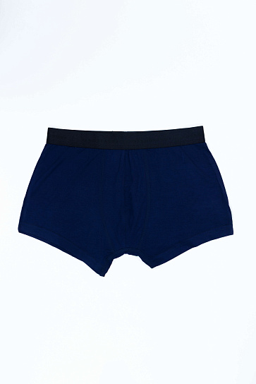 Трусы trunk SS25CR4-44-21266-210262 фото