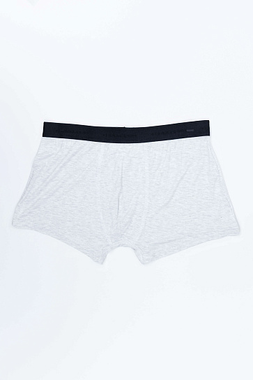 Трусы trunk SS24CR4-44-20231-154323 фото