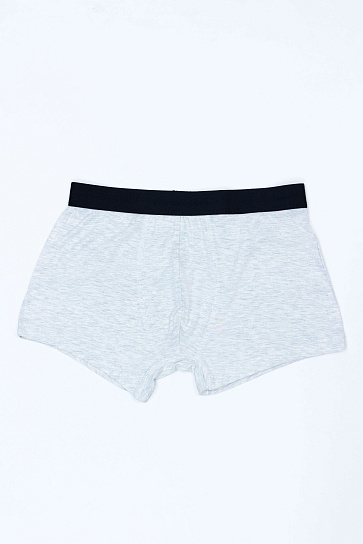 Трусы trunk SS25CR4-44-21266-210273 фото